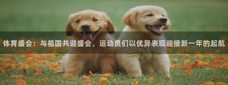 意昂体育官网入口登录：体育盛会：与祖国共迎盛会，运动员们以优异表现迎接新一年的起
