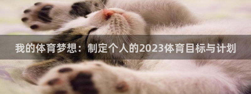 德国意昂集团：我的体育梦想：制定个人的2023体育目标与计划