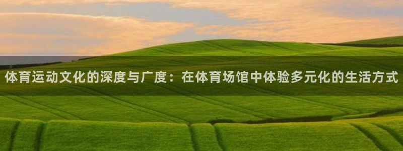 意昂2登录入口：体育运动文化的深度与广度：在体育场馆中体验多元化的生活方式