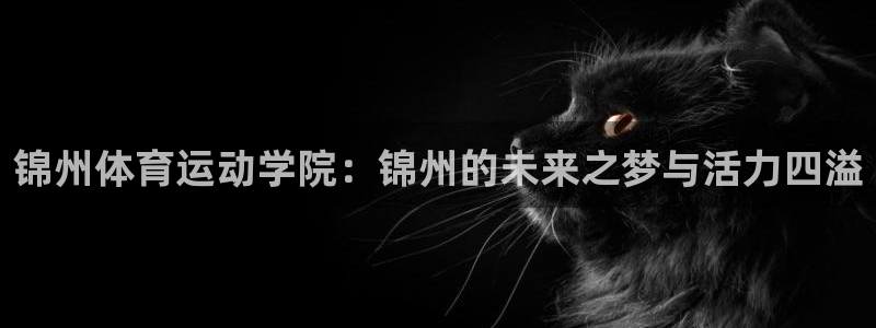 意昂4平台：锦州体育运动学院：锦州的未来之梦与活力四溢