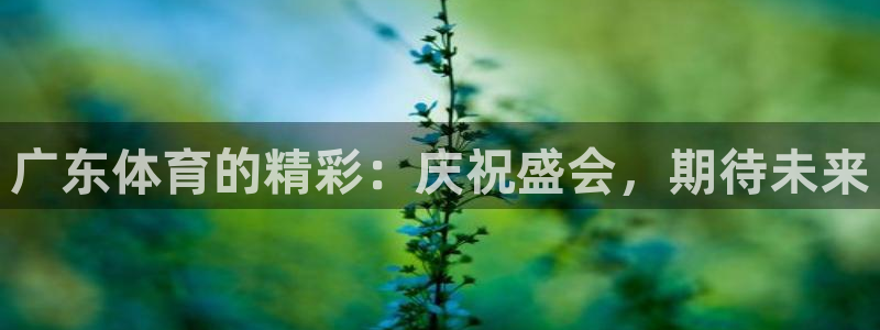 意昂体育凯捷平台注册：广东体育的精彩：庆祝盛会，期待未来