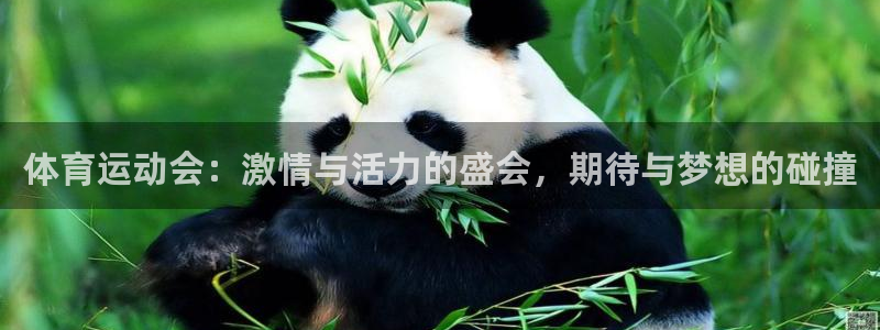 意昂体育注册登录入口：体育运动会：激情与活力的盛会，期待与梦想的碰撞