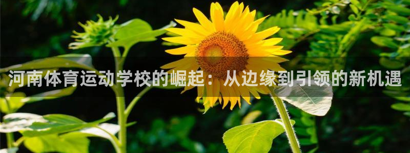意昂凯捷注册：河南体育运动学校的崛起：从边缘到引领的新机遇