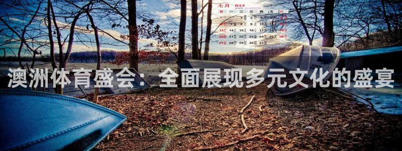 意昂2官网：澳洲体育盛会：全面展现多元文化的盛宴