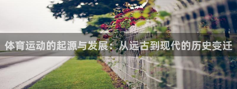 意昂4平台注册：体育运动的起源与发展：从远古到现代的历史变迁