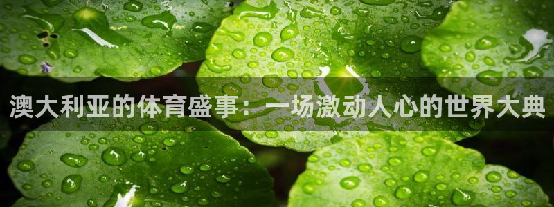 意昂4代理：澳大利亚的体育盛事：一场激动人心的世界大典