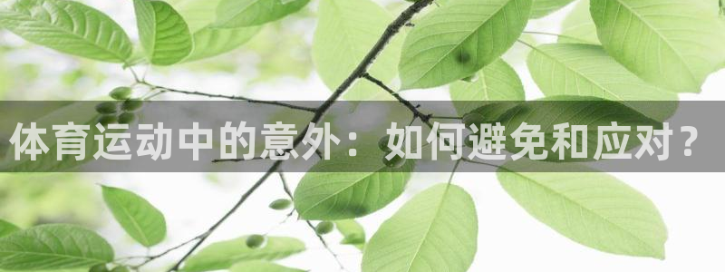 意昂平台：体育运动中的意外：如何避免和应对？
