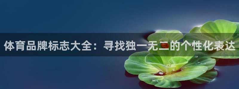 意昂注册：体育品牌标志大全：寻找独一无二的个性化表达