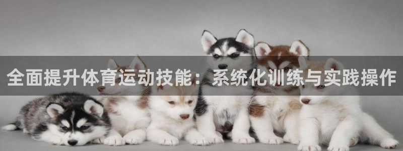 意昂注册：全面提升体育运动技能：系统化训练与实践操作