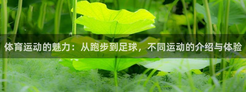 意昂官网入口：体育运动的魅力：从跑步到足球，不同运动的介绍与体验