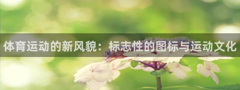 意昂2平台登录：体育运动的新风貌：标志性的图标与运动文化