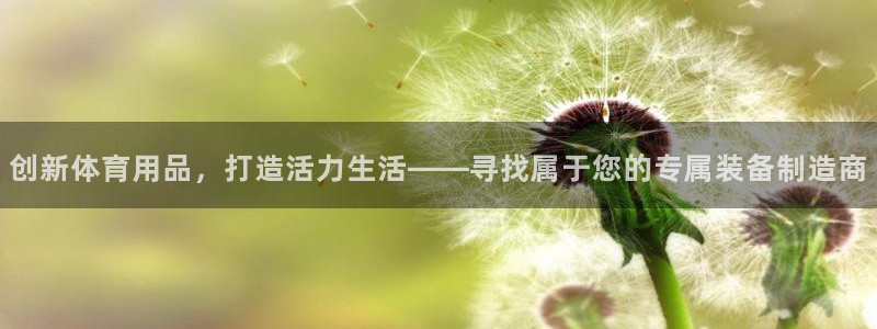 意昂2体育：创新体育用品，打造活力生活——寻找属于您的专属装备制造商