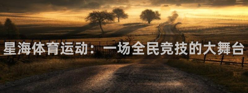意昂体育凯捷平台代理：星海体育运动：一场全民竞技的大舞台