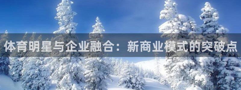 意昂平台：体育明星与企业融合：新商业模式的突破点