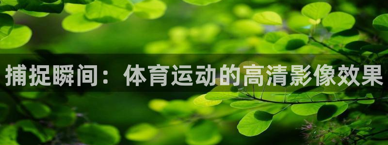 意昂能源：捕捉瞬间：体育运动的高清影像效果