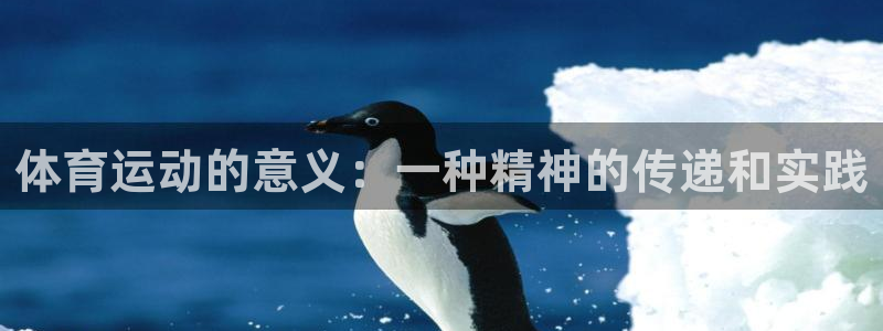 意昂体育：体育运动的意义：一种精神的传递和实践