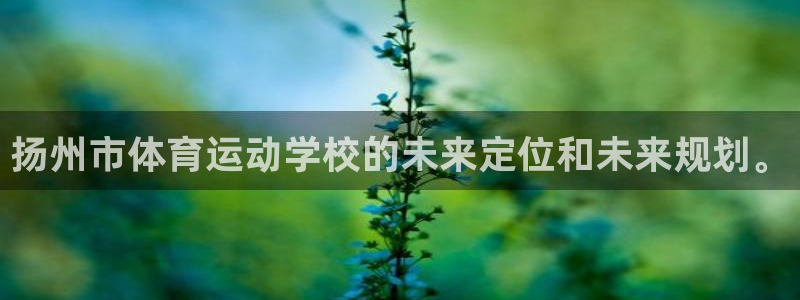 意昂体育注册代理：扬州市体育运动学校的未来定位和未来规划。