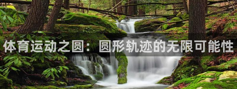 意昂代理注册官网入口：体育运动之圆：圆形轨迹的无限可能性