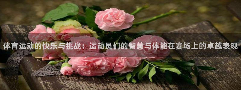 意昂2登录入口：体育运动的快乐与挑战：运动员们的智慧与体能在赛场上的卓越表现