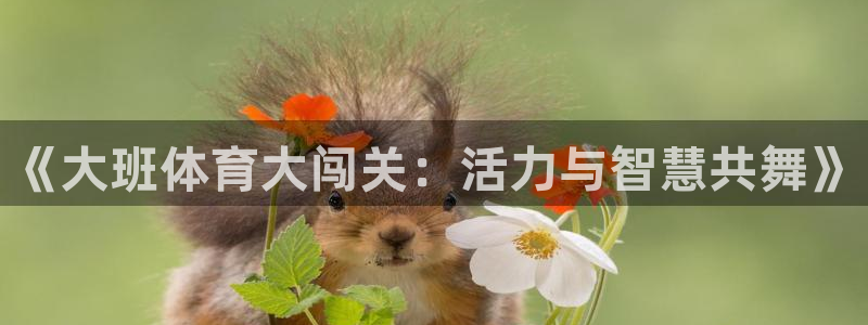 意昂体育2官网入口：《大班体育大闯关：活力与智慧共舞》